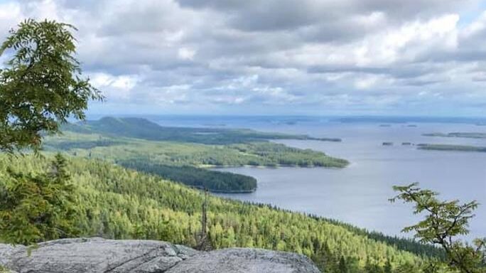 Koli Wild - seikkailun alku
